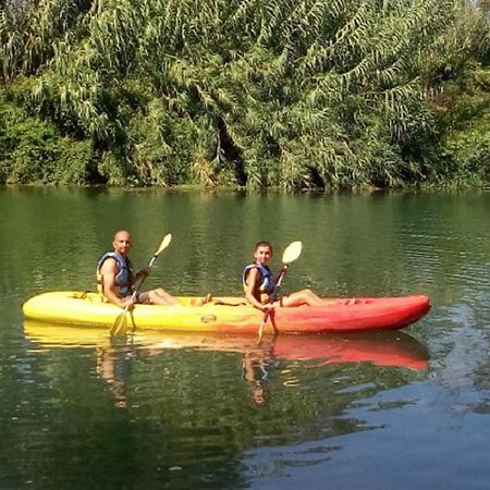 La Ravine Au Bord Du Loing Villa Montigny-sur-Loing ภายนอก รูปภาพ