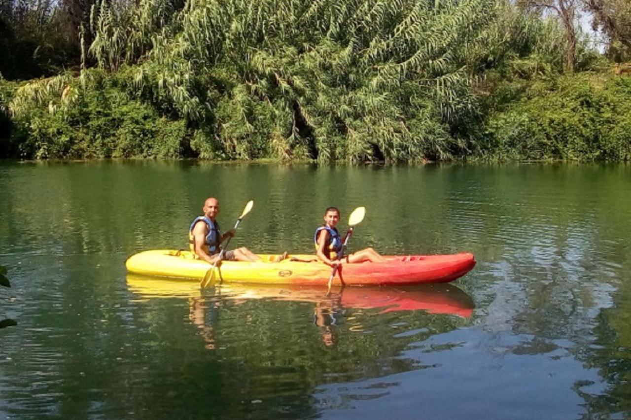 La Ravine Au Bord Du Loing Villa Montigny-sur-Loing ภายนอก รูปภาพ